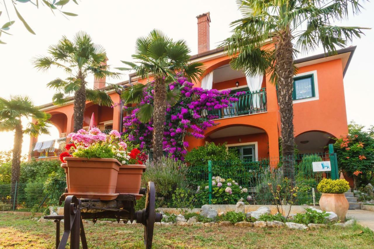 Apartments Mirjana Novigrad Istria Buitenkant foto